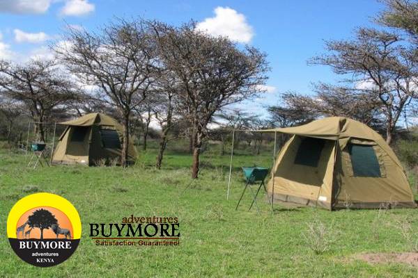 Kenya safari lodges